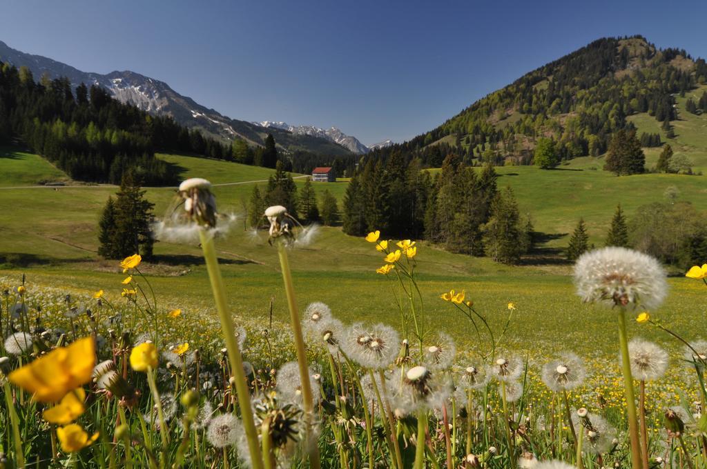 Landhotel Berghof Bad Hindelang Δωμάτιο φωτογραφία